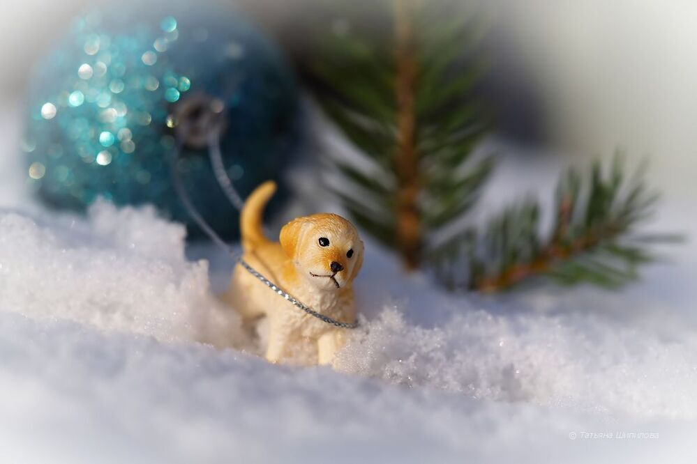 Новогодние хлопоты