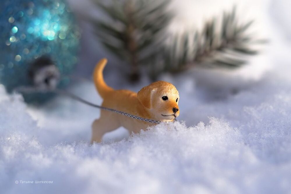 Новогодние хлопоты