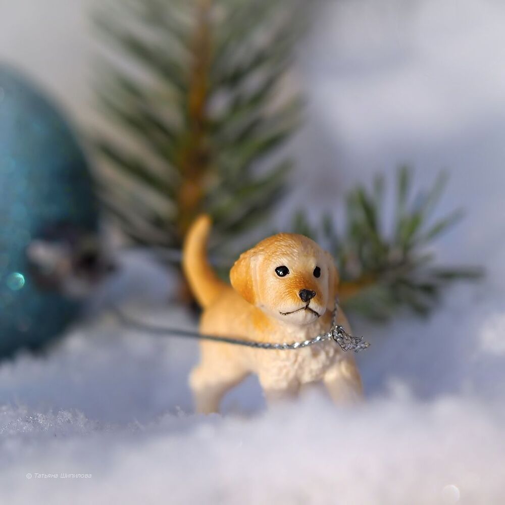 Новогодние хлопоты