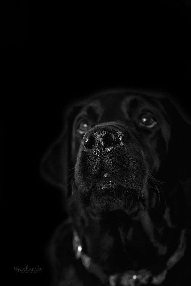 Photo 1213726