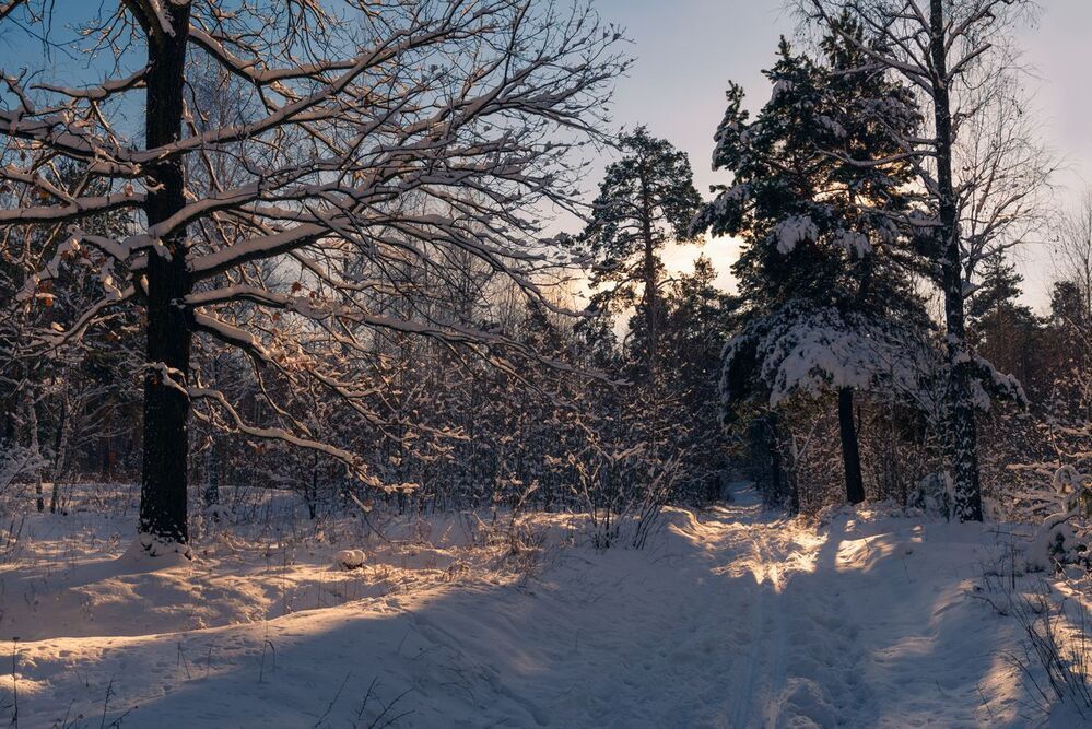 Морозный рассвет