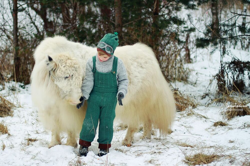 Лыжники