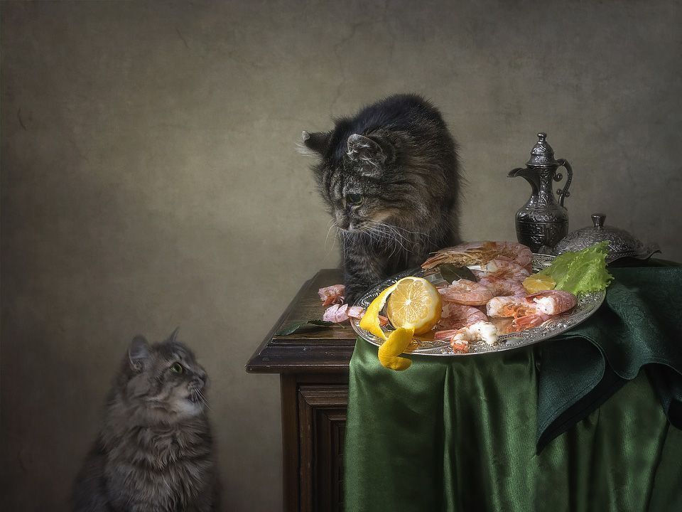 - А мне креветок?
- Мне тут самому мало!