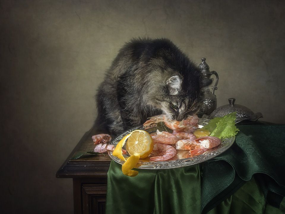 - М-м-м-м! Вкуснятина!