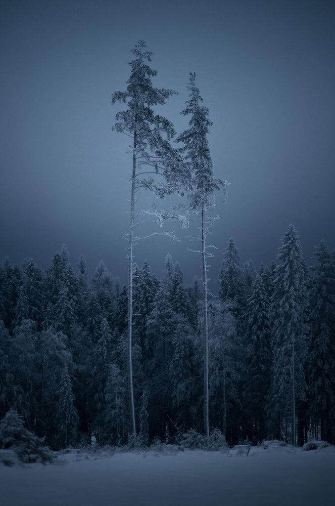 Видения