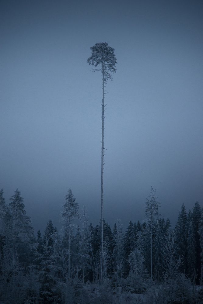 Видения