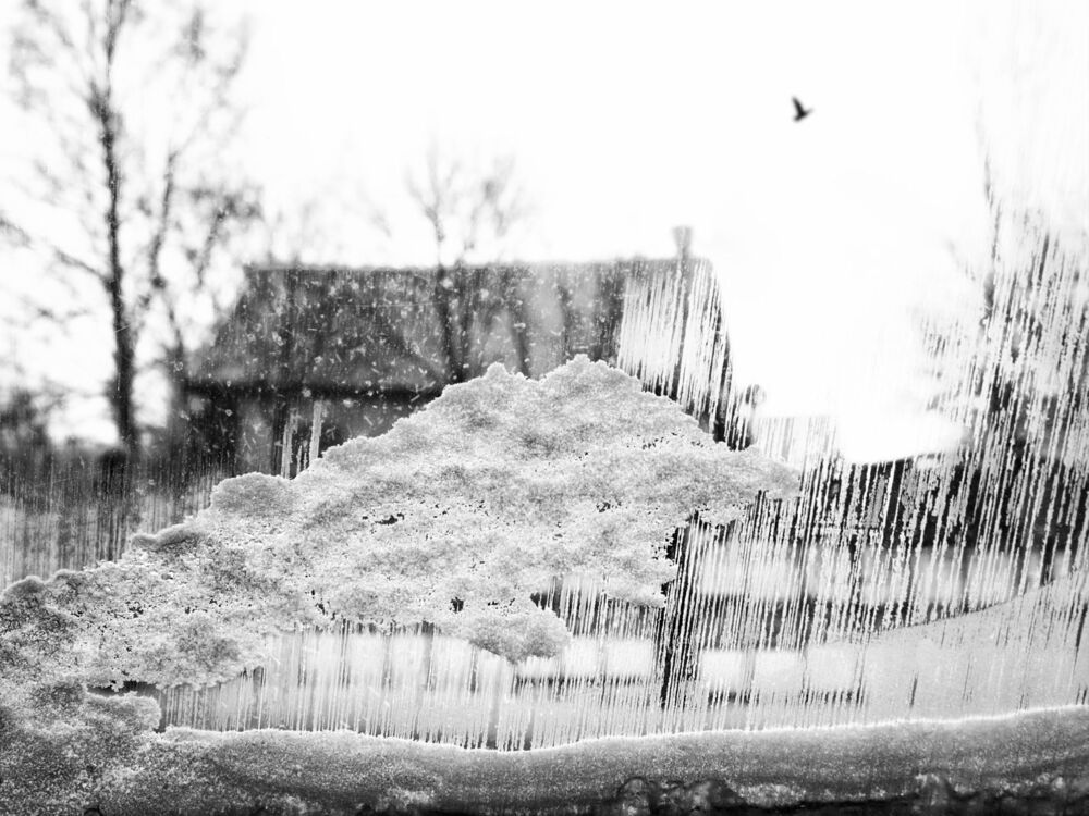 Photo 1215484