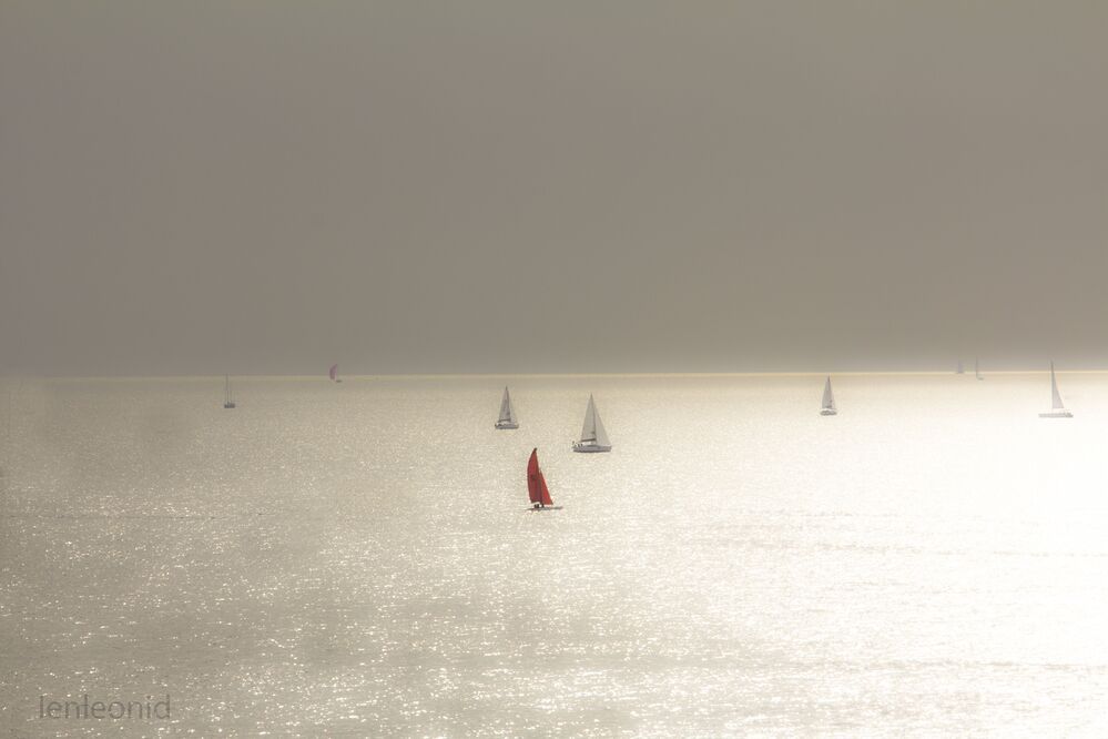 Photo 1215539