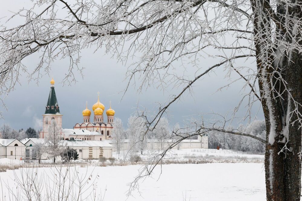 Зимняя обитель