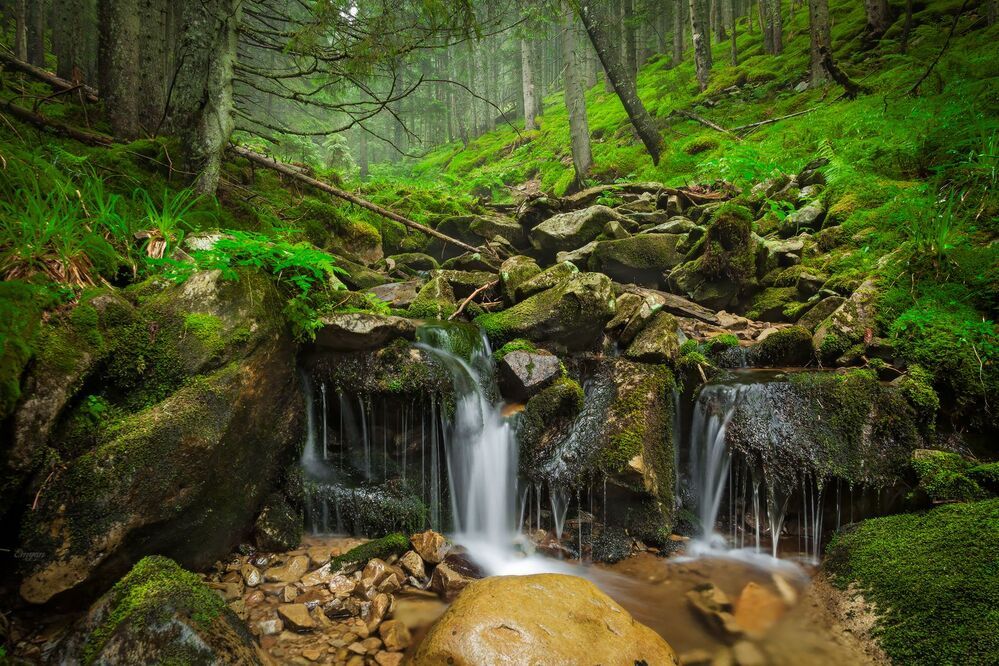 Carpathians, Ukraine