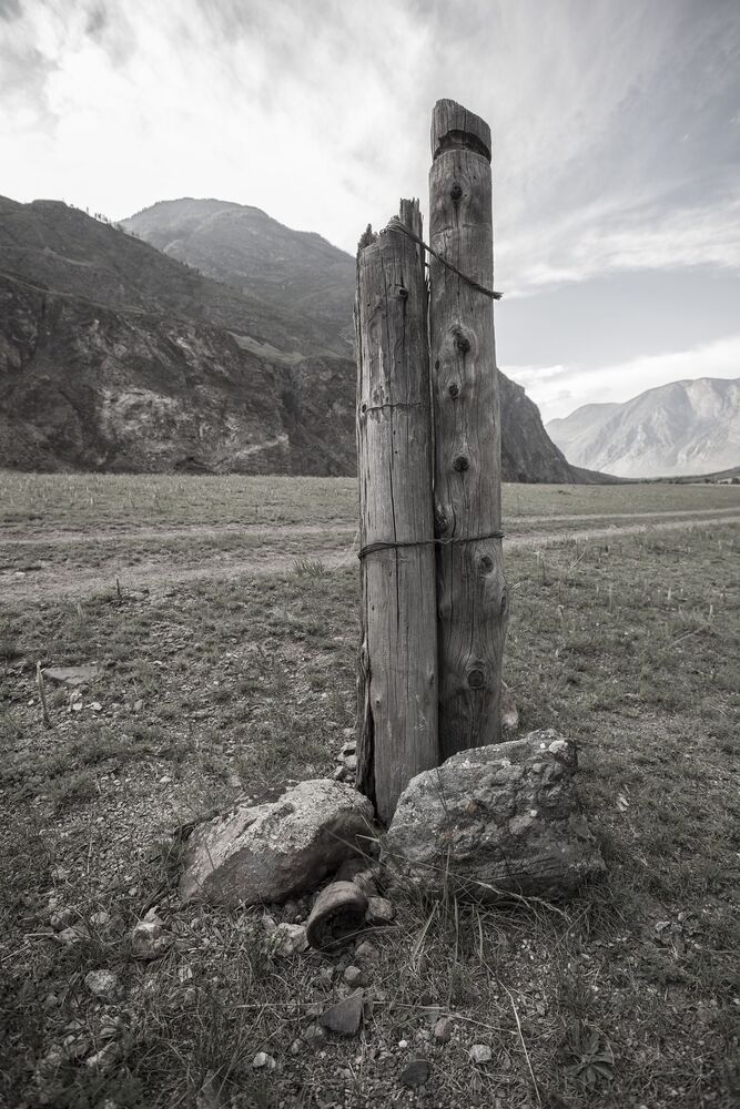 Photo 1216269