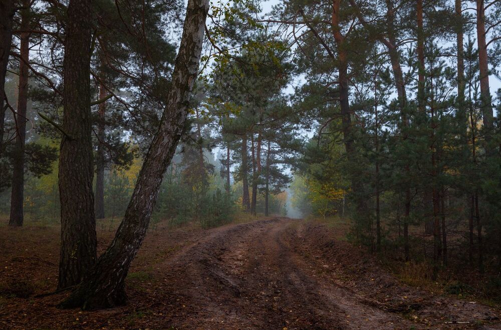 Осенняя меланхолия