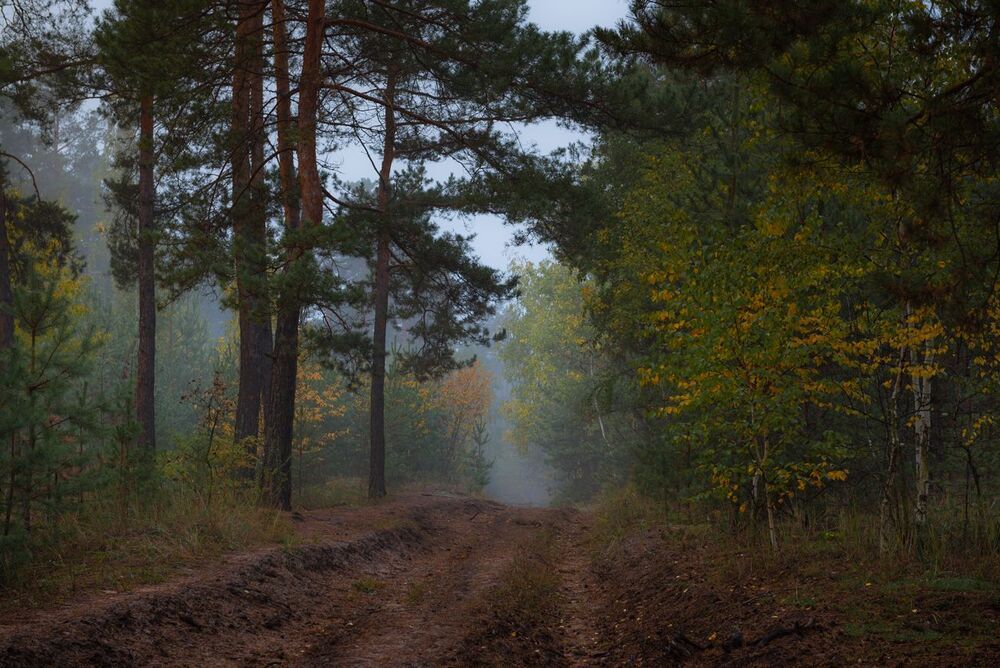 Осенняя меланхолия