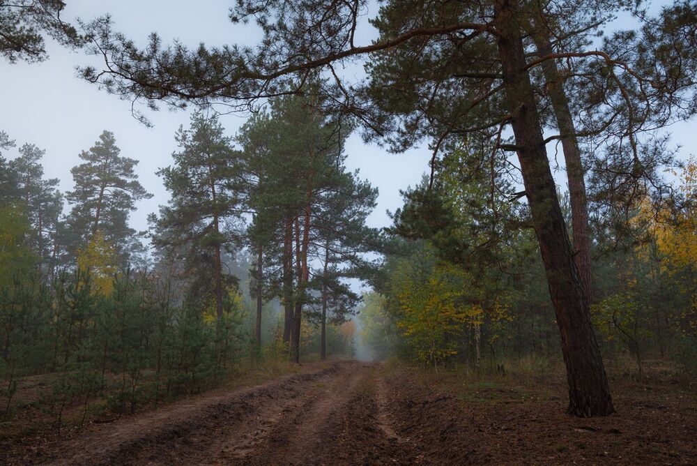 Осенняя меланхолия