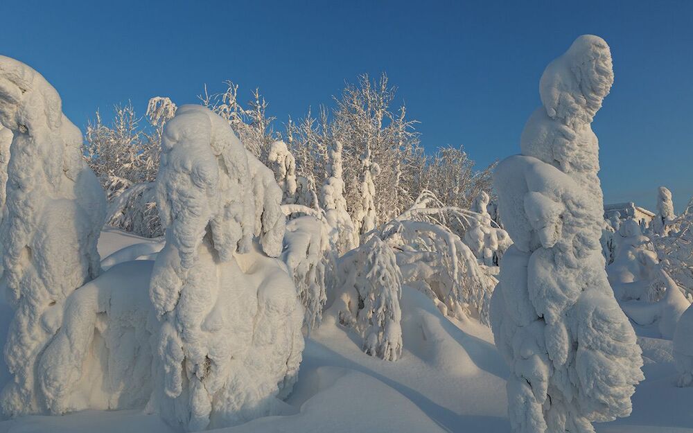 СНЕЖНОЕ ВЕЛИКОЛЕПИЕ