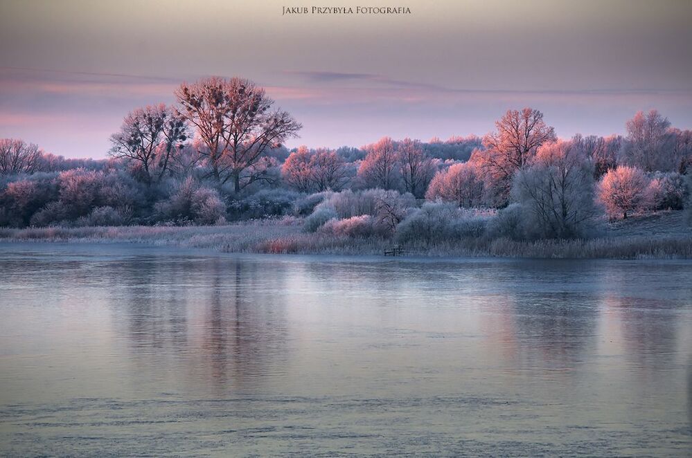 Frosty morning