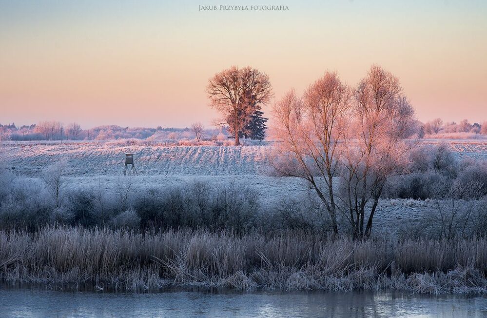Frosty morning