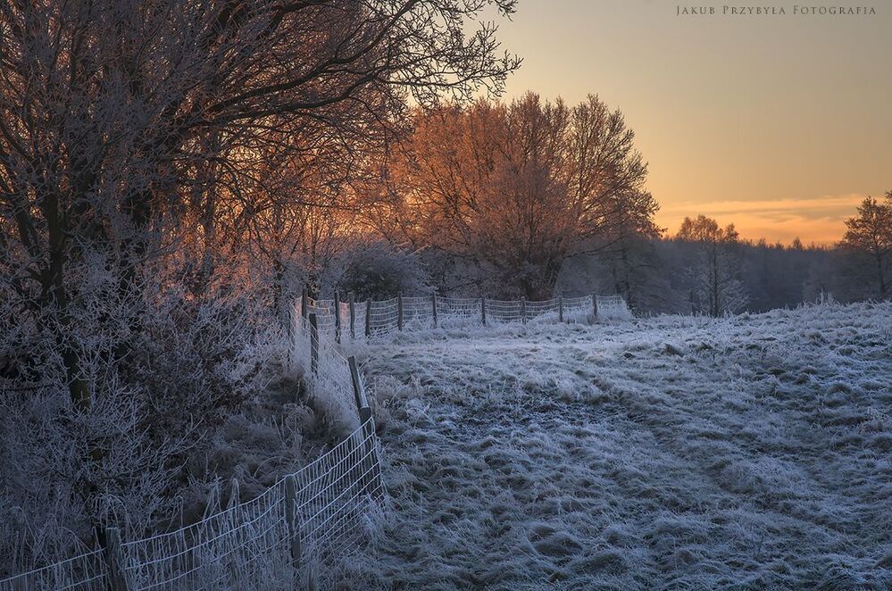 Frosty morning