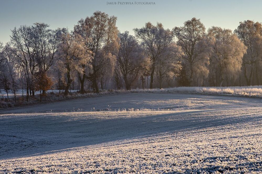Frosty morning