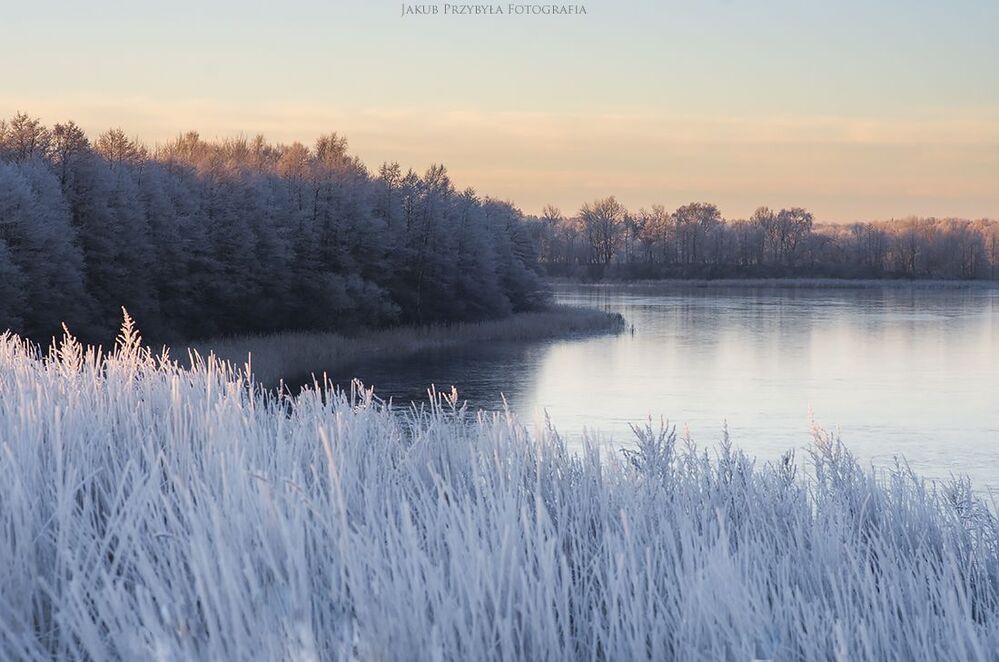 Frosty morning
