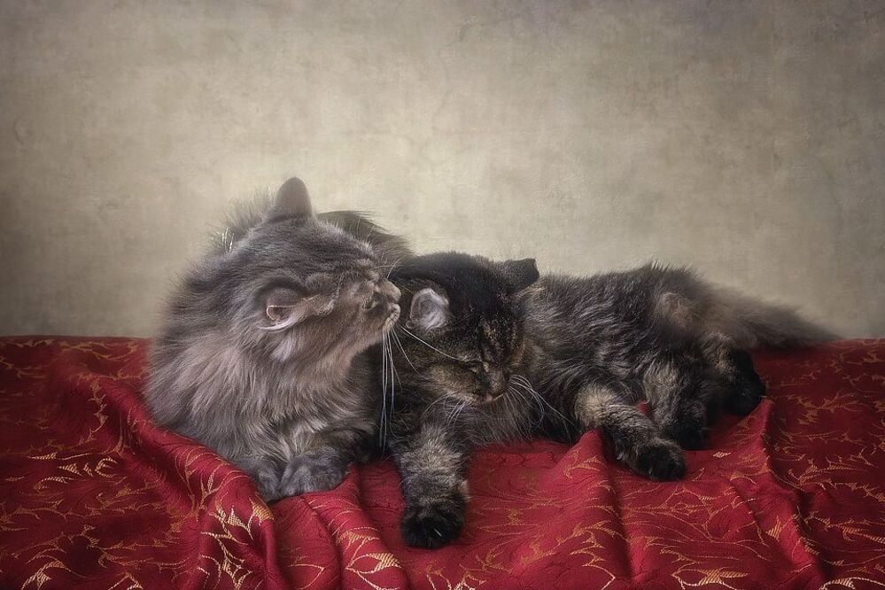 - Не бойся, я с тобой!