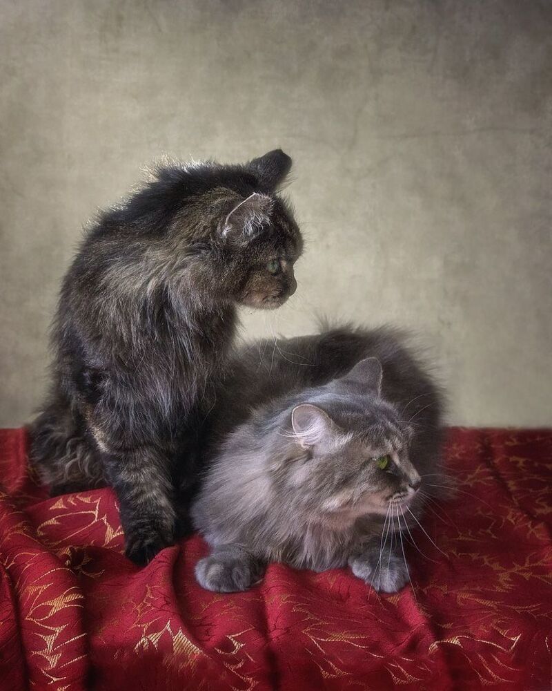 - Ну кто там на нас?