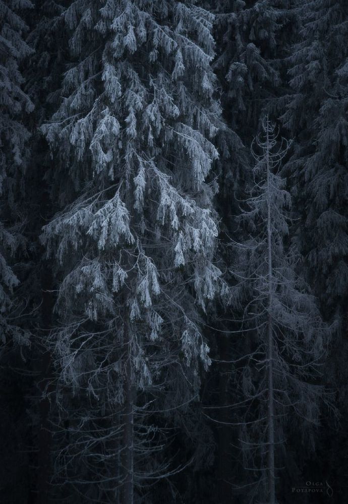 Пришельцы и Стражники