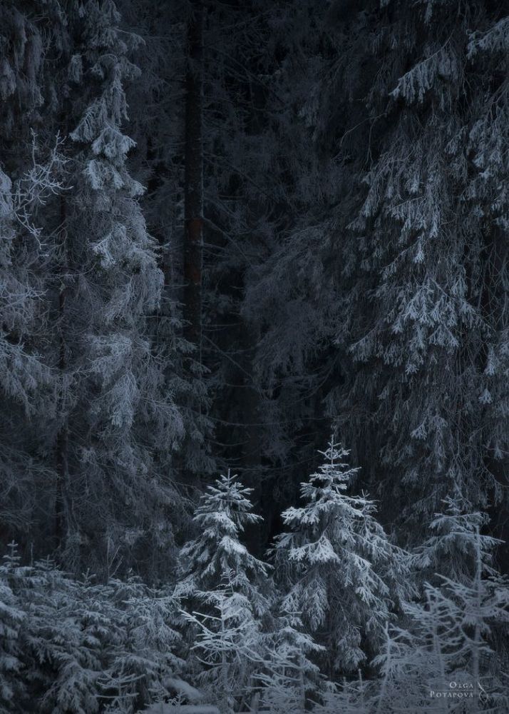 Пришельцы и Стражники