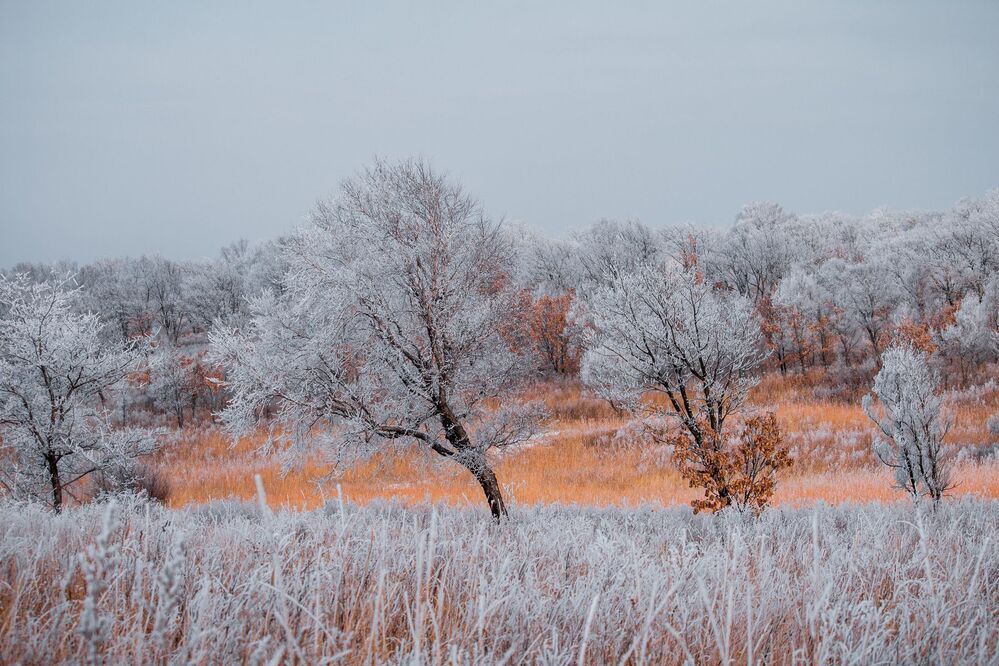 Photo 1218427