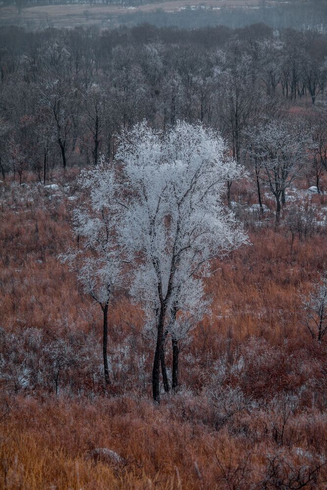 Photo 1218433