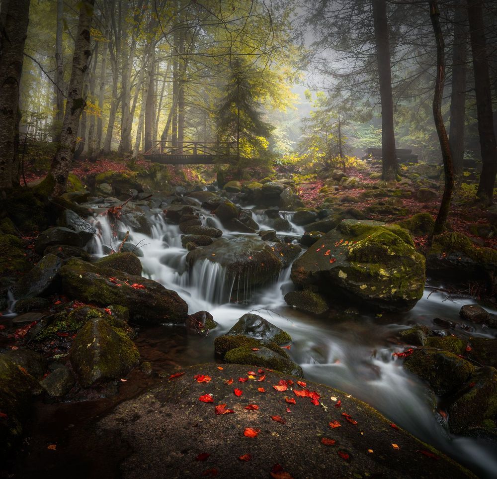 Landscapes and Abstractions
