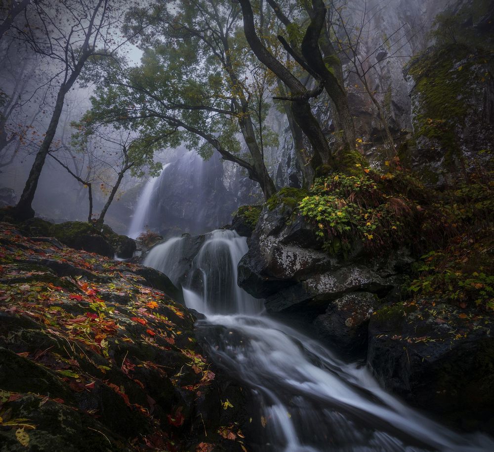 Landscapes and Abstractions