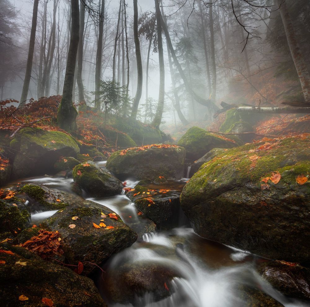 Landscapes and Abstractions