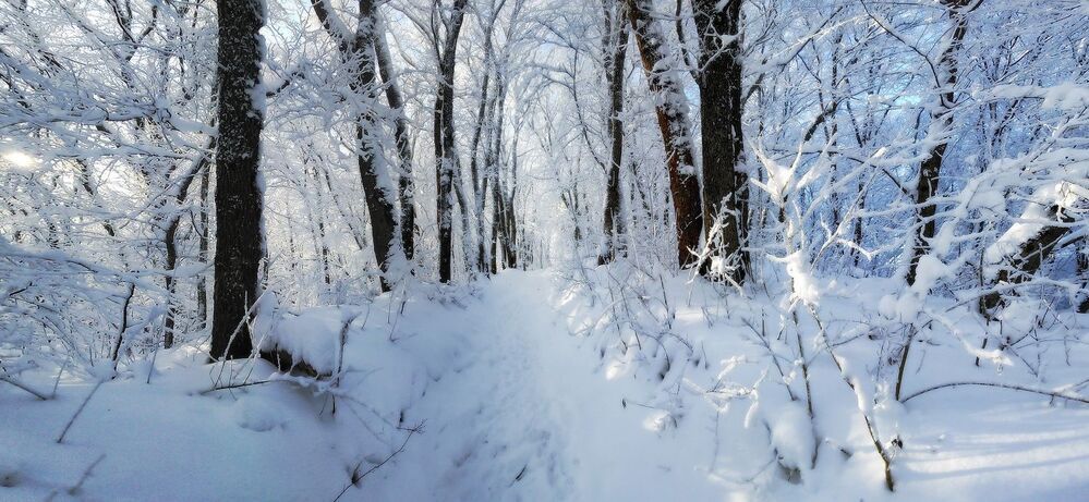 панорамка, камера телефона Nokia X2 , CS 5