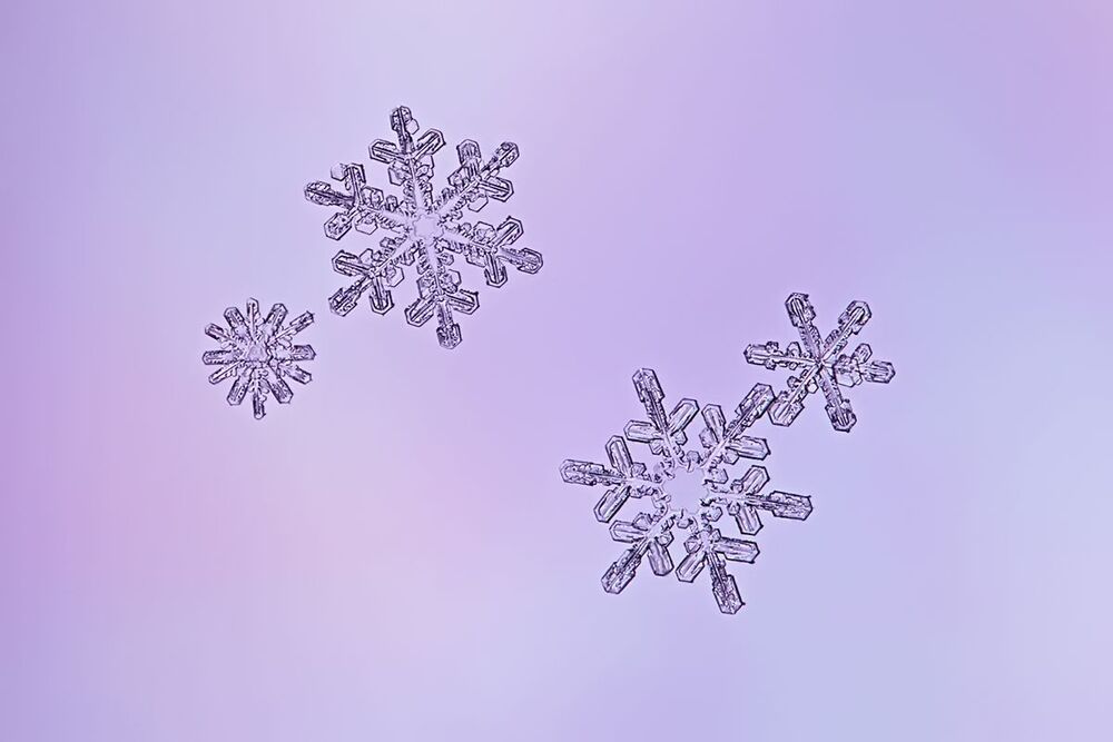 Узоры зимы