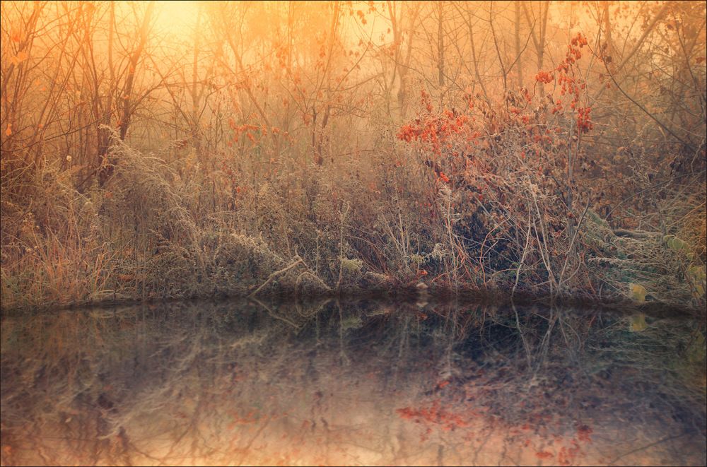 ---= утро туманное =---