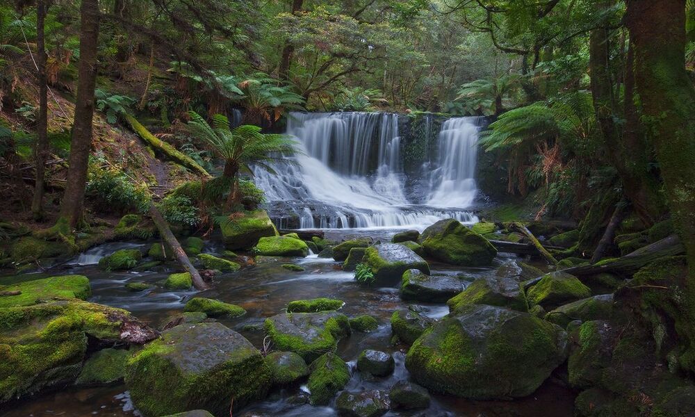 3. Водопад Подкова ( Horseshoe Falls)  &ndash;находится в дождевом лесу национального парка Mount Field.