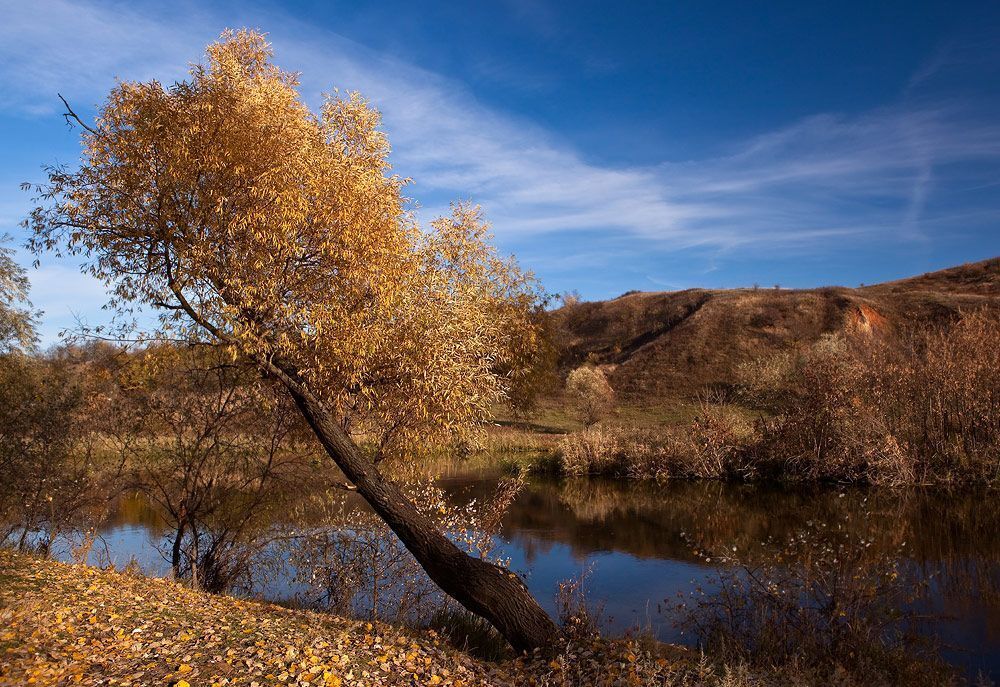 Осеннее нарядное