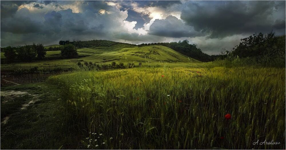 Перед дождем.(Тосканские пейзажи)