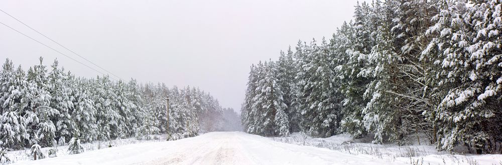 Долгожданная зима