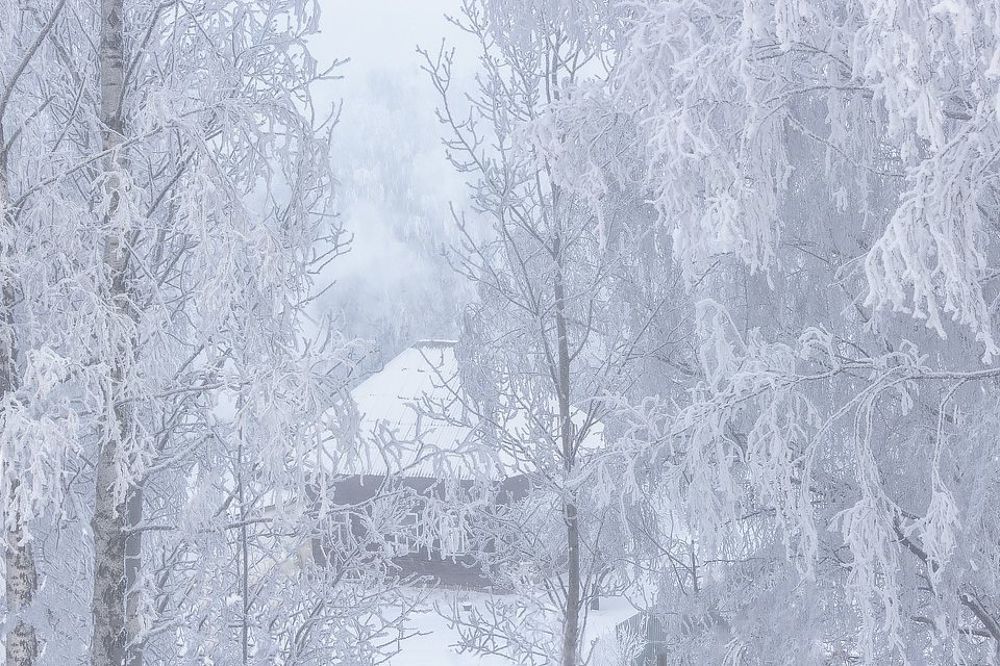 Волшебство зимнего утра