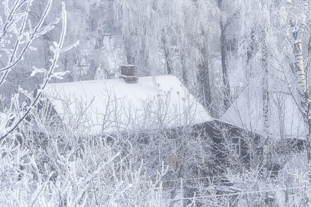 Волшебство зимнего утра