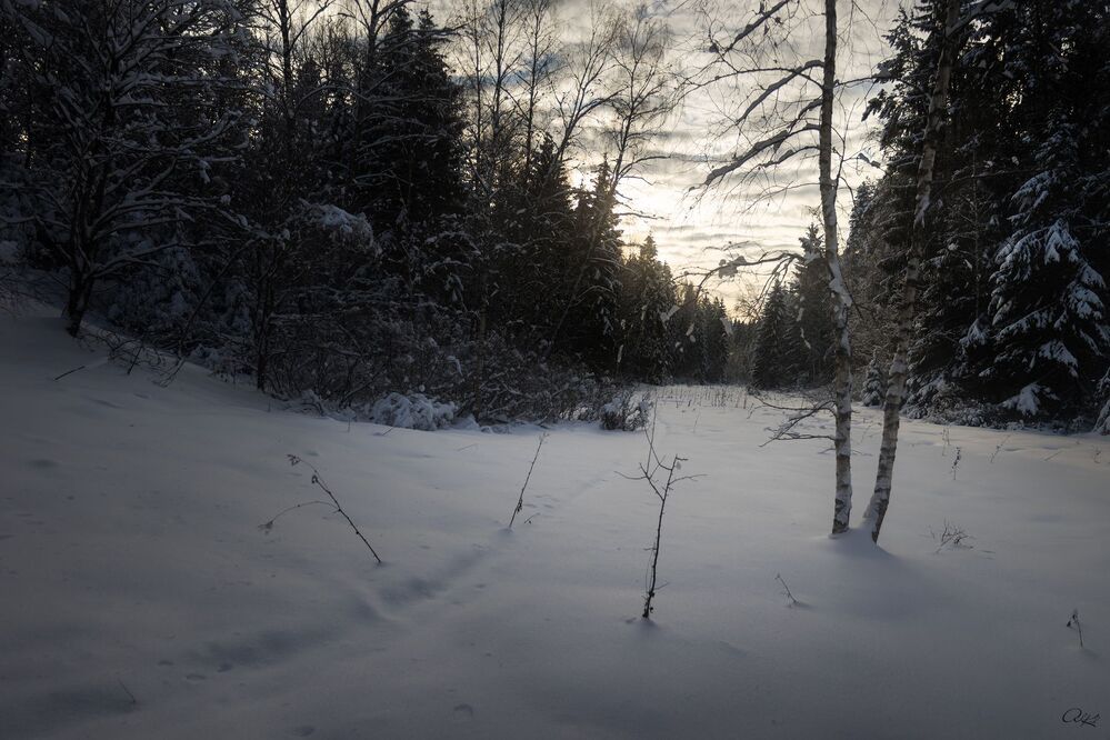 Photo 1221634