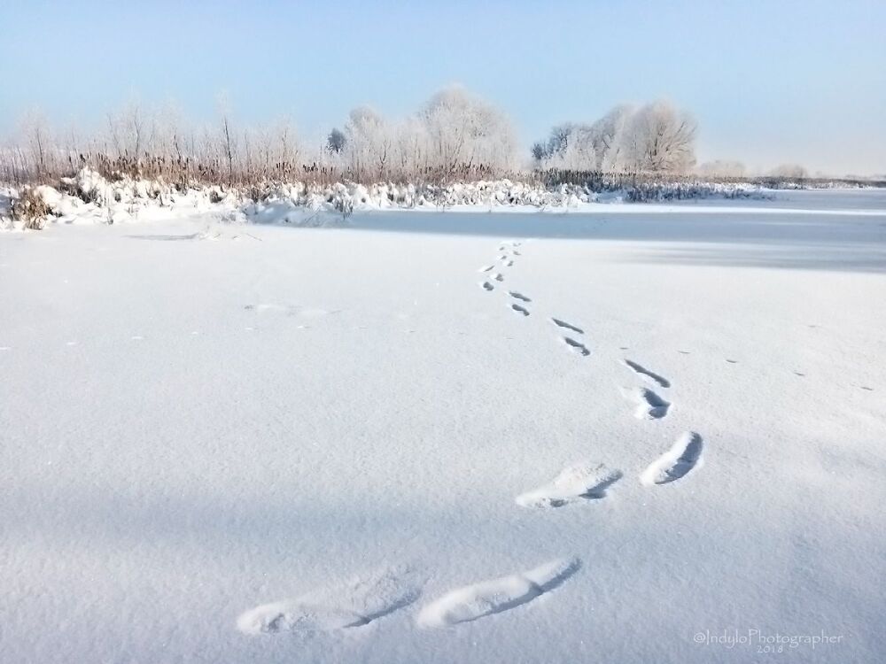 Зимняя сказка!!