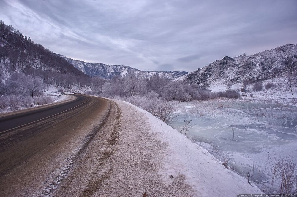 про замерзшее болотце...