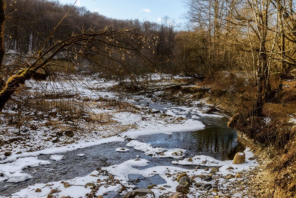 Январь в разгаре