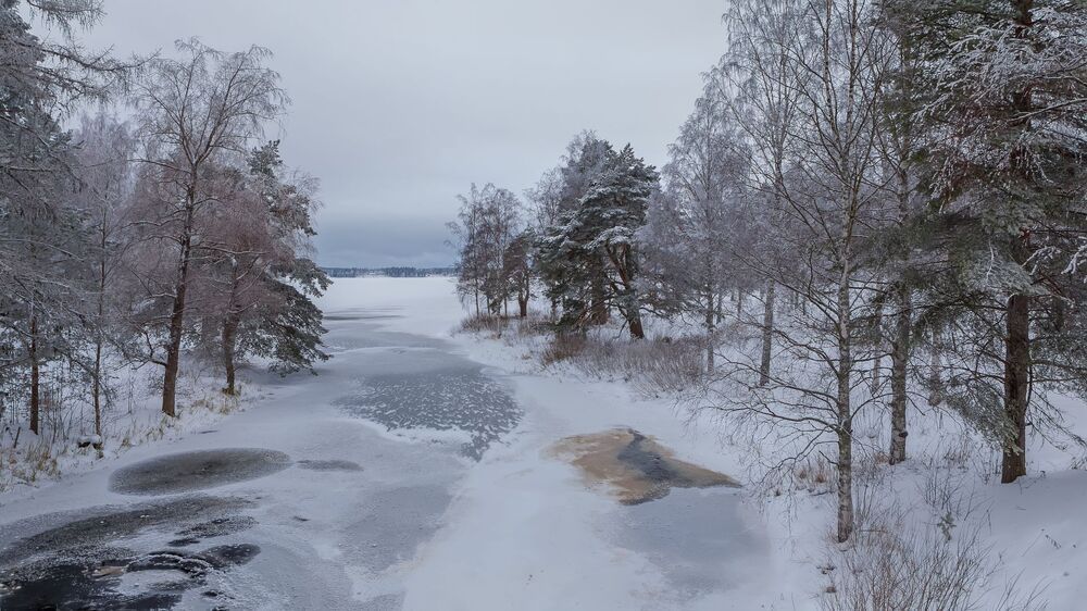зимняя прогулка
