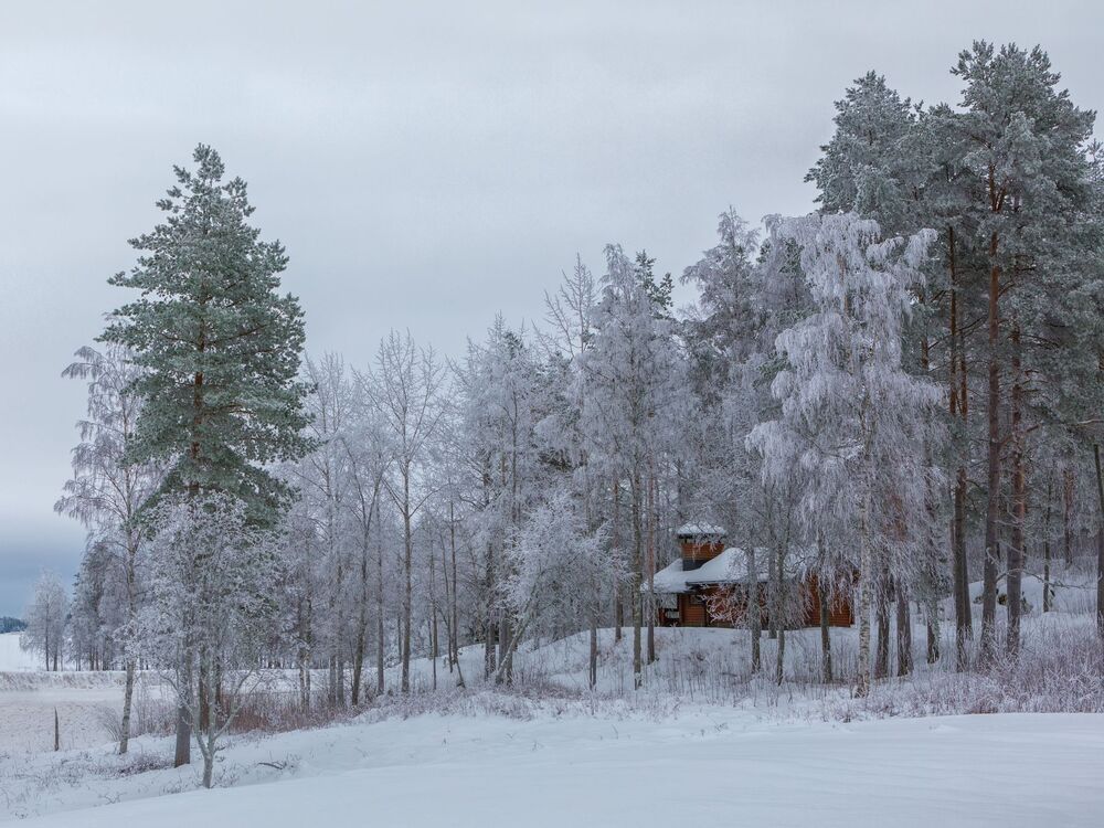 зимняя прогулка