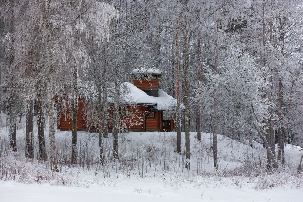 зимняя прогулка