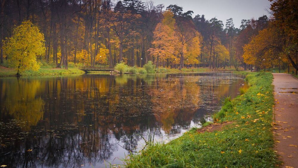В осеннем парке городском